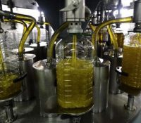 Calidad de los aceites en España